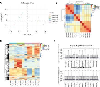 Colorectal Cancer Chemotherapy Drug Bevacizumab May Induce Muscle Atrophy Through CDKN1A and TIMP4